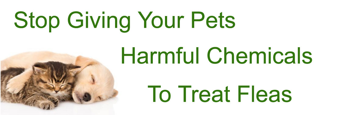 Stop giving your pets harmful chemicals